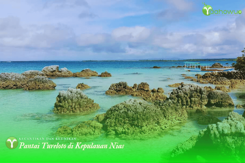 Kecantikan dan Keunikan Pantai Tureloto di Kepulauan Nias