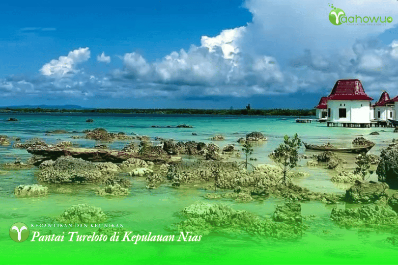 Kecantikan dan Keunikan Pantai Tureloto di Kepulauan Nias